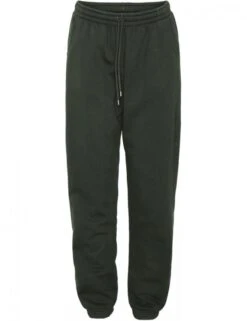 Colorful Standard Classic Organic Sweatpants - Hunter Green