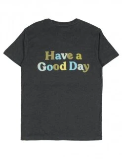 Cotopaxi Have A Good Day Tee - Iron