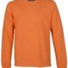 Colorful Standard Organic Cotton Crew Sweat - Burned Orange 1 Colorful Standard Organic Cotton Crew Sweat - Burned Orange -FatBuddhaStore Clothing organic cotton crew sweat burned orange p30198 117854 medium