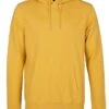 Colorful Standard Organic Cotton Hooded Sweat - Burned Yellow