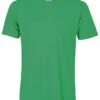 Colorful Standard Organic Cotton Tee - Kelly Green
