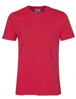 Colorful Standard Organic Cotton Tee - Scarlet Red