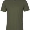 Colorful Standard Organic Cotton Tee - Seaweed Green