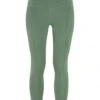 Fjallraven Women's Abisko Tights - Patina Green