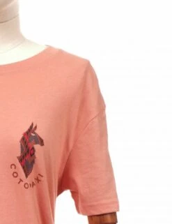 Cotopaxi Women's Llama Lover Tee - Clay -FatBuddhaStore Clothing womens llama lover tee clay p29909 102553 medium